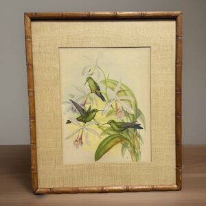 VTG John Gould Hummingbirds, Green Crowned Brilliant, IBFCO 1940s Matted Framed